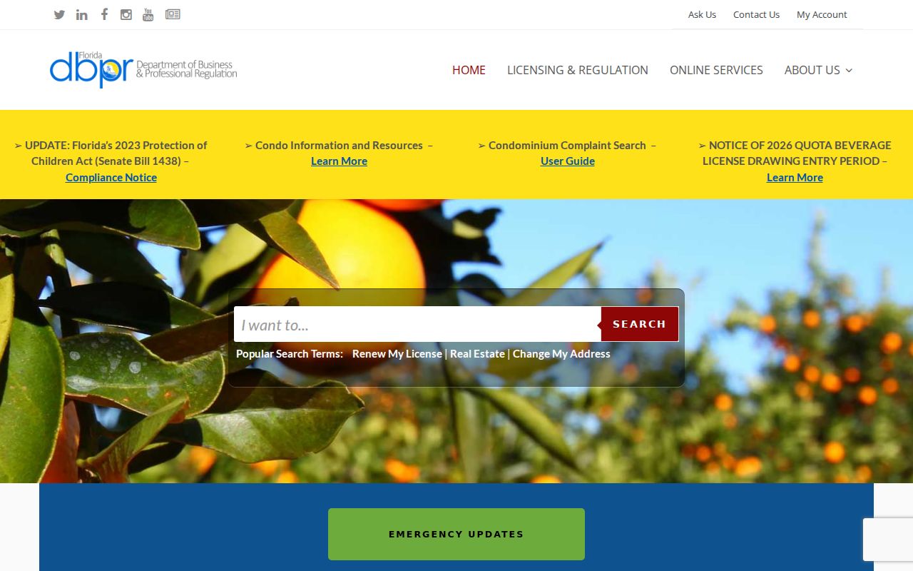 Florida DBPR license search used to confirm a Gainesville business role